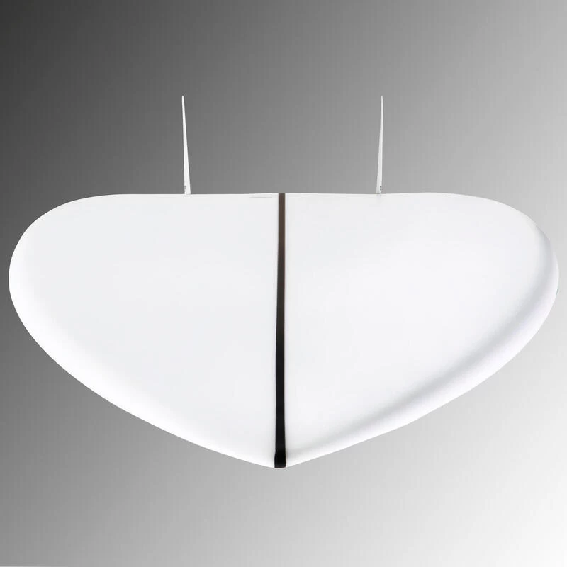 FISH 900 5'8" 35 L. Livrée Avec 2 Ailerons Twin . 8 FISH 900 5'8" 35 L. Livrée Avec 2 Ailerons Twin . – Image 8