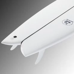 FISH 900 6'1" 42 L .Livrée Avec 2 Ailerons Twin . -Board Zone Soldes fish 900 61 42 l livree avec 2 ailerons twin 7